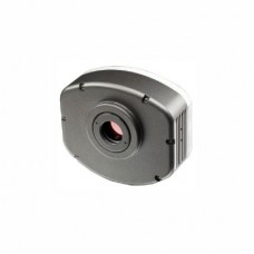 CONVERSORES ÓPTICOS BLACKLIGHT 55C e 8000 | BEL Engineering BLACKLIGHT 55C e 8000