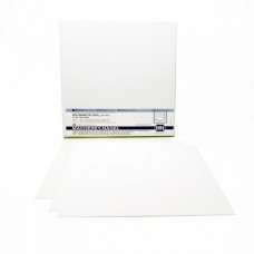 PLACA DE POLIESTER OXIDO DE ALUM.UV254 20X20 0,20MM C/25PC