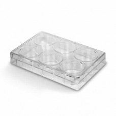 PLACA PARA CULTIVO DE CÉLULAS 6 POÇOS FUNDO CHATO