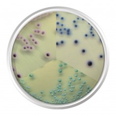 AGAR CROMOGÊNICO CANDIDA. FRASCO 500 G | Kasvi K25-1382