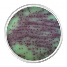 AGAR CROMOGÊNICO PSEUDOMONAS. FRASCO 500 G | Kasvi K25-1493
