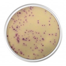 AGAR CROMOGÊNICO CONTAGEM DE PLACAS (PCA). FRASCO 500 G | Kasvi K25-1585