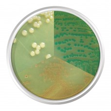 AGAR CROMOGÊNICO VIBRIO. FRASCO 500 G | Kasvi K25-2054