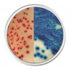 AGAR CROMOGÊNICO ESBL. FRASCO 500G | Kasvi K25-2062