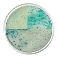 AGAR CROMOGÊNICO STAPHYLOCOCCUS AUREUS. FRASCO 500 G