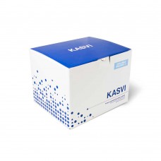 KIT DE EXTRAÇÃO MINI SPIN VÍRUS DNA/RNA KASVI 50 EXTRAÇÕES