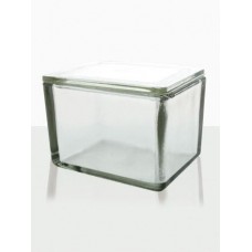 Cuba de Vidro com Tampa Sem Berço Capacidade 108 x 90 x 70 mm - 9331800