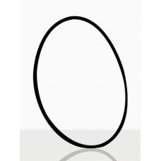 O-Rings para Reator DN150 - 9922257