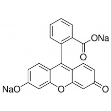 Fluoresceína Sódica P.A. 100 g | Neon Comercial 02242