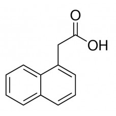 Ácido 1-Naftaleno Acético 100 g | Neon Comercial 03253